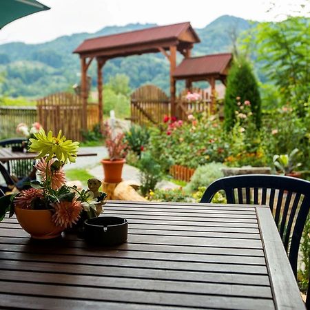 Pension Agnes Vişeu de Sus Екстериор снимка