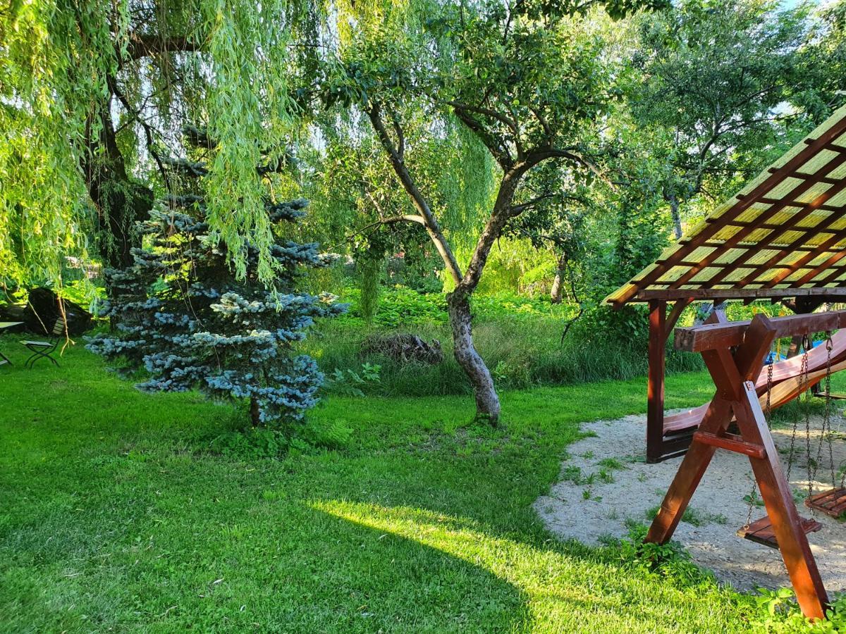 Pension Agnes Vişeu de Sus Екстериор снимка