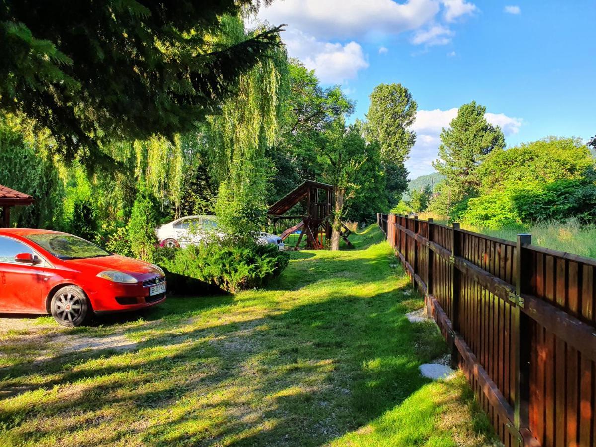 Pension Agnes Vişeu de Sus Екстериор снимка