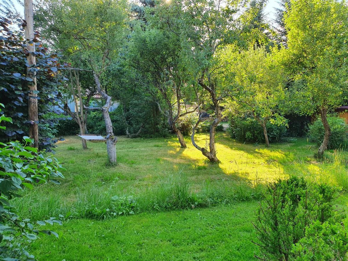 Pension Agnes Vişeu de Sus Екстериор снимка