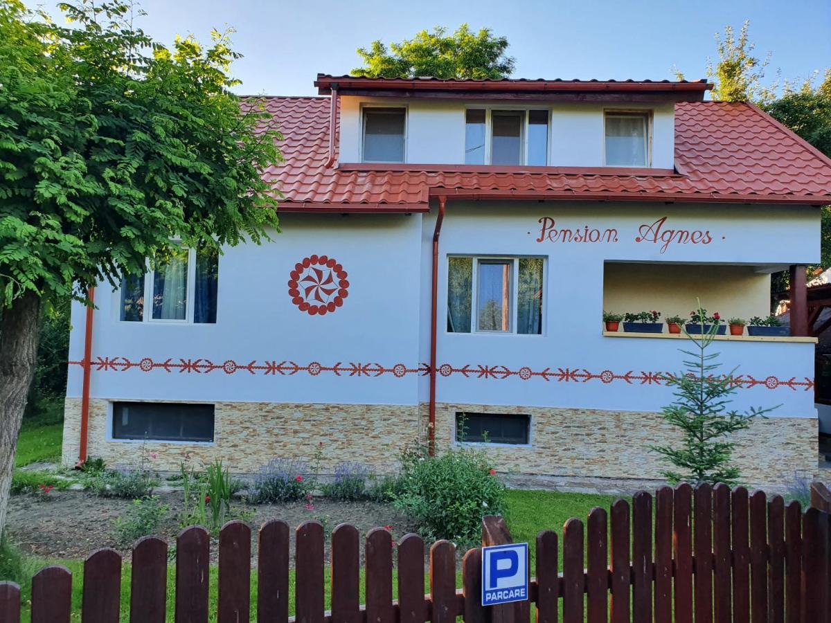 Pension Agnes Vişeu de Sus Екстериор снимка