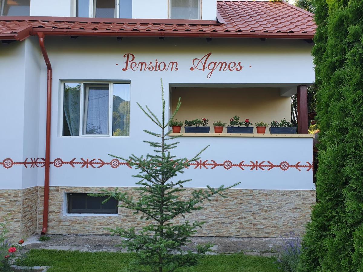 Pension Agnes Vişeu de Sus Екстериор снимка