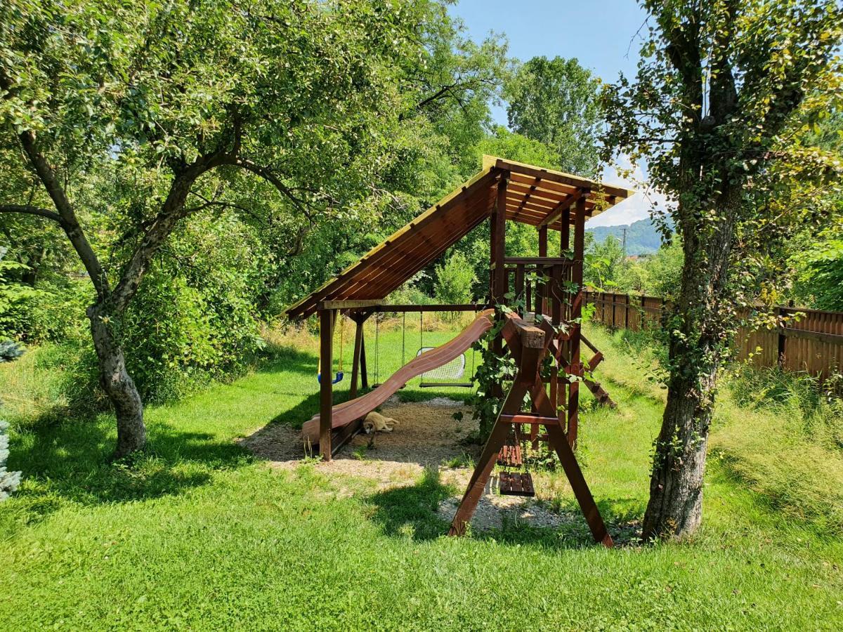 Pension Agnes Vişeu de Sus Екстериор снимка