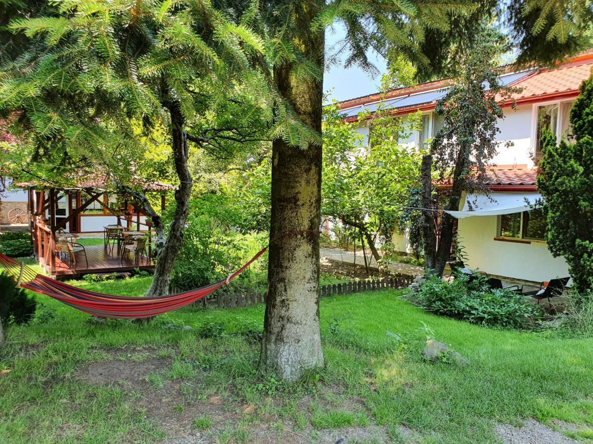 Pension Agnes Vişeu de Sus Екстериор снимка