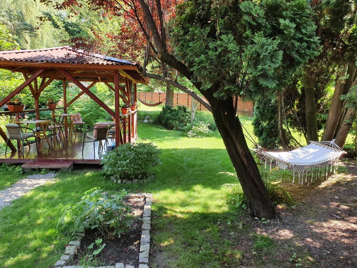 Pension Agnes Vişeu de Sus Екстериор снимка