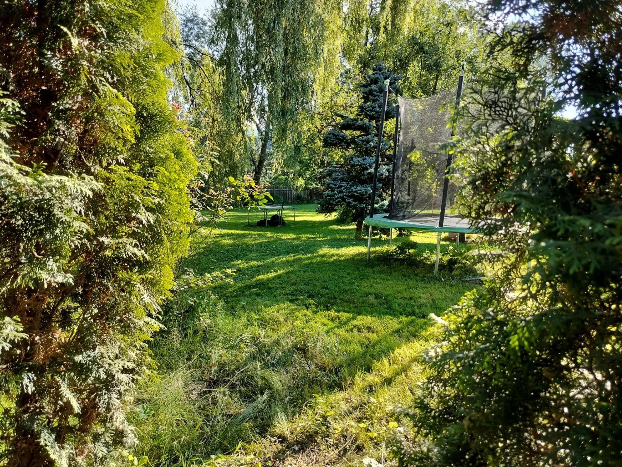 Pension Agnes Vişeu de Sus Екстериор снимка